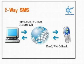 探索軟件開發與相關技術領域